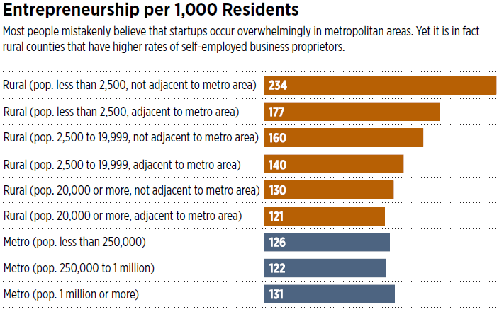 Figure 1: Rural entrepreneurship